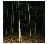 Express Rising - Fixed Rope II [VINYL]