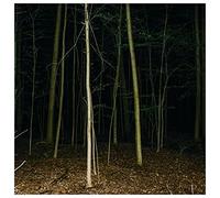 Express Rising - Fixed Rope - Vinyl Record - 03 - B3447z