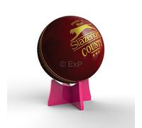 Expression Products Acrylic Cricket Ball Display Stand Riser Plinth (Pink)