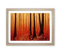 Expressive Autumn Forest Framed Print | A3 Oak Framed Wall Art | Ready to Hang | Modern Landscape Picture | Living Room Bedroom Lounge Office