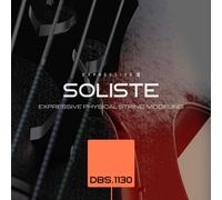 Expressive E Soliste DBS 1130 Double Bass