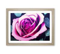 Expressive Rose Flower BLK Framed Wall Art Print A2 Oak
