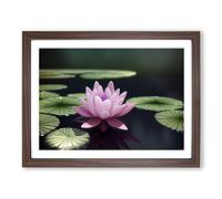 Expressive Water Lily Flower Framed Print | A2 Walnut Framed Wall Art | Ready to Hang | Modern Floral Picture | Living Room Bedroom Lounge Office