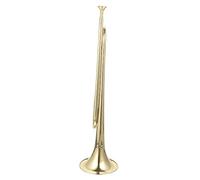 EXQUIMEUBLE Brass Student Trumpet in B Flat Beginner Instrument for Youth Mouthpiece for School Bands and Music Education