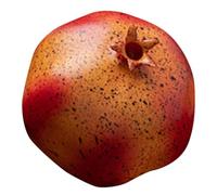 EXQUIMEUBLE Realistic Simulation Pomegranate Model Weighted Foam Fruit Fake Colour Retention Models for Kitchen Cabinet Decor and House Decoration, for Teaching Tools and Home