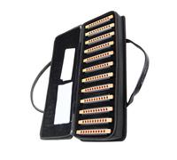 Exquisite Black 10 Hole Diatonic Blues Harmonica 12 Piece Standard Pitch Set Harp Harmonica Suitable For Beginners