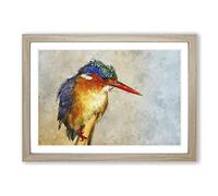Exquisite Kingfisher Bird Painting Framed Print | A2 Oak Framed Wall Art | Ready to Hang | Modern Historical Picture | Living Room Bedroom Lounge Office