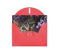 Exquisite Kitten In The Flowers Greeting Card With Red Envelope Suitable For Various Celebratory Occasions Use