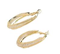 Exquisite Net Design Earrings, Contemporary Large Hoop Earrings, Mesh Detail Ear Accessories for Trendsetters, Fine Craftsmanship Jewelry, フリーサイズ