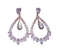 Exquisite Water Drop Zircon Earrings Stylish Zircon Ear Accessories Ear Pendant Charm For Bride And Evening Event Lightweight Dangle Earrings