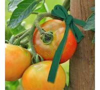 Extendable garden twine for plants, trees and support, 4 rolls of 30m - Practical tool for the garden and home