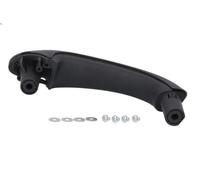 BLIC 6010-02-031409P Door Handle
