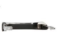 BLIC 6010-02-034401P Door Handle