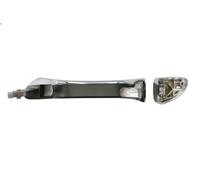BLIC 6010-02-034402P Door Handle