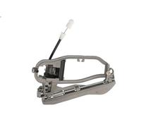 BLIC 6010-05-014421P Door-handle Frame