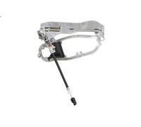 Exterior Door Handle BLIC 6010-05-014433P for BMW X5 (E53) 3 2001-2003