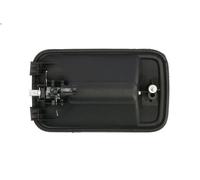 Exterior Door Handle BLIC 6010-07-014410P for FIAT ULYSSE (220_) 2 1999-2002