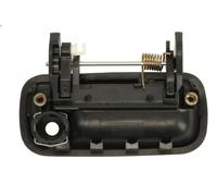 BLIC 6010-19-062401P Door Handle