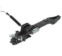 Exterior Door Handle BLIC 6010-23-012402PW for YPSILON (843_) 1.3 2003-2011