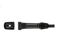 BLIC 6010-24-022401P Door Handle