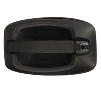 BLIC 6010-30-003401P Door Handle