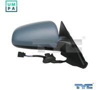 TYC 302-0039 Wing mirror