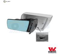 VAN WEZEL 3031807 Wing mirror