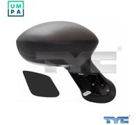 TYC 309-0063 Wing mirror