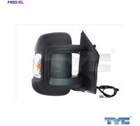 TYC 309-0198 Wing mirror