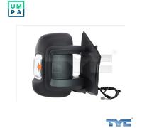 TYC 309-0198 Wing mirror