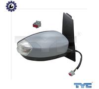 TYC 310-0194 Wing mirror