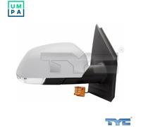 BLIC 5402-04-1113111P Wing mirror