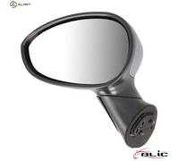 BLIC 5402-04-1121933P Wing mirror