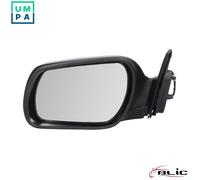 BLIC 5402-04-1121994P Wing mirror