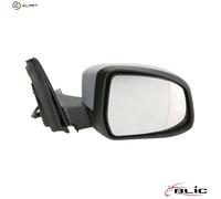 BLIC 5402-04-1139371P Wing mirror