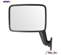 EXTERIOR MIRROR 5402-04-1191984P FOR VW TRANSPORTER/T3/Platform/Chassis/Van 1.6L