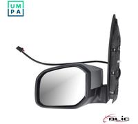BLIC 5402-04-1546369P Wing mirror