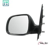 BLIC 5402-04-1623331P Wing mirror