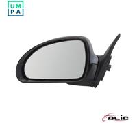 BLIC 5402-04-9927133P Wing mirror