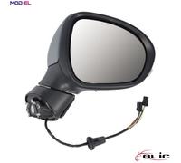 BLIC 5402-07-0302313P Wing mirror