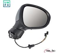BLIC 5402-07-0302313P Wing mirror