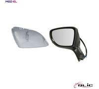 BLIC 5402-09-1922312P Wing mirror