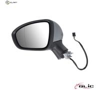 BLIC 5402-09-2313310P Wing mirror