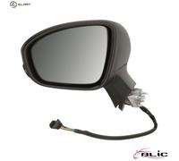 ✅Fits BLIC 5402-09-2313316P Side mirror electric Left Aspherical MIT ⭐UK Seller⭐