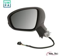 BLIC 5402-09-2313316P Wing mirror