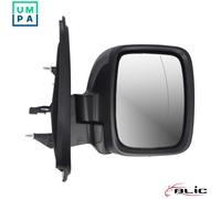 BLIC 5402-09-2476311P Wing mirror