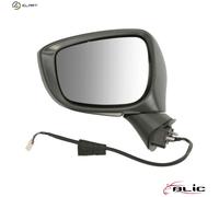 BLIC 5402-14-0770312P Wing mirror