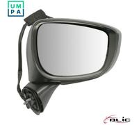BLIC 5402-14-1905313P Wing mirror