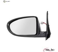 BLIC 5402-16-040361P Wing mirror