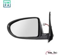 BLIC 5402-16-040361P Wing mirror